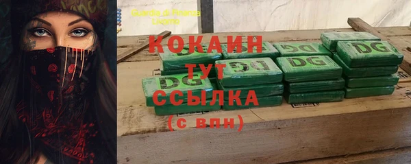тгк Алзамай