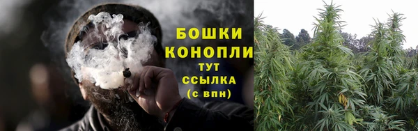 дживик Осинники