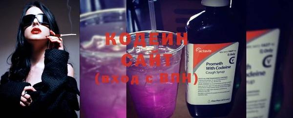 не бодяженный Алексин