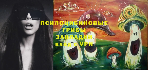 не бодяженный Алексин