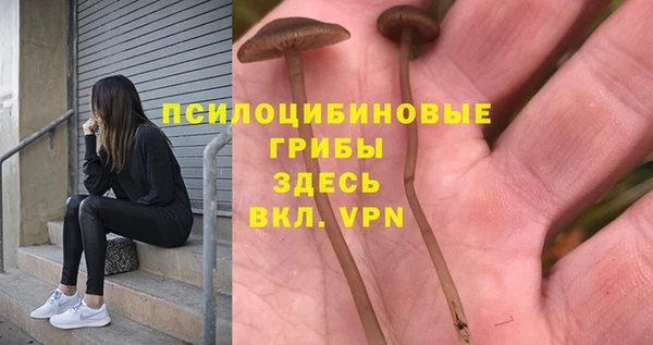 не бодяженный Алексин