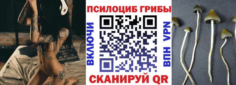 купить наркоту  Бикин  гидра маркетплейс  Псилоцибиновые грибы ЛСД 
